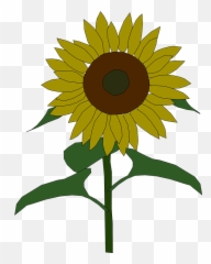 Solsikke Vektor Grafik - Sunflower Clipart Emoji
