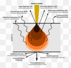 Electron Microscope - Backscattered Emoji