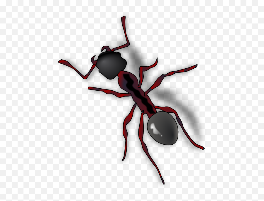Ant Clipart - Ant Clip Art Emoji,Ant Emoticon