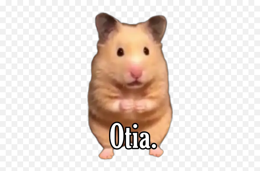 Animales Stickers For Whatsapp - Hamster Emoji,Mouse Rabbit Hamster Emoji