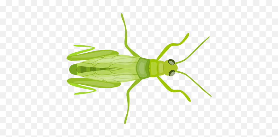 Grasshopper Wing Feeler Antenna Flat - Parasitism Emoji,Grasshopper Emoji