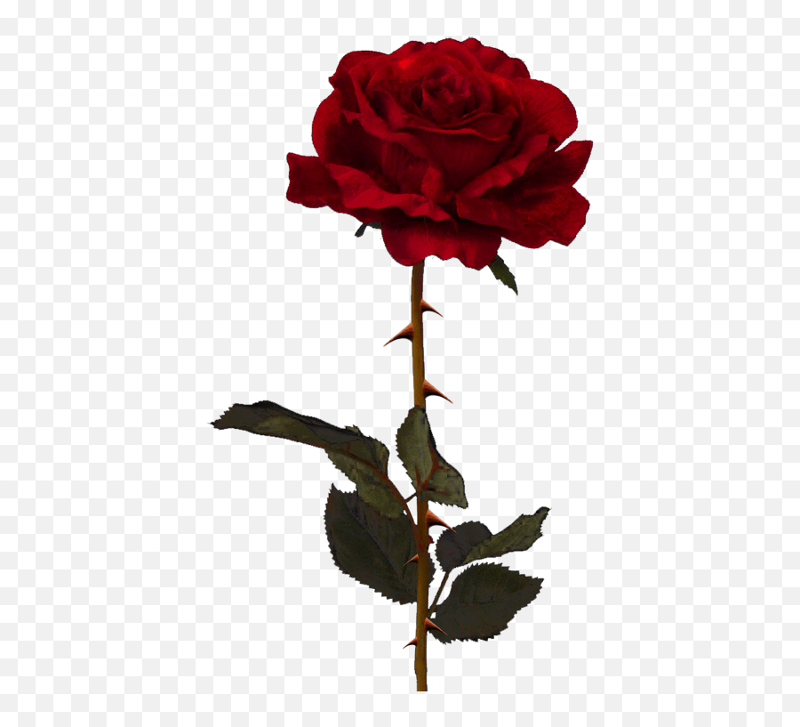 Dead Rose Emoji Png Printablehd Clipart - Rose Transparent,Dead Rose Emoji