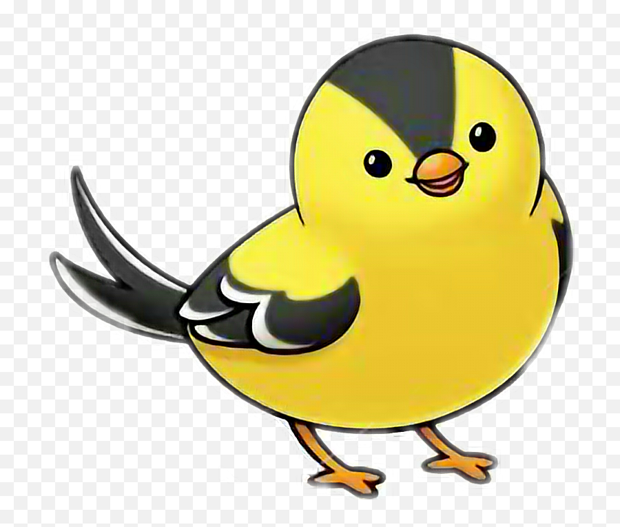 Bird Yellowbird Bird Colour Song Golden - Cartoon Sea Otter Draw Emoji,Finch Emoji