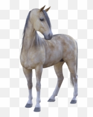 Jumpy Horse Stickers - Stallion Emoji
