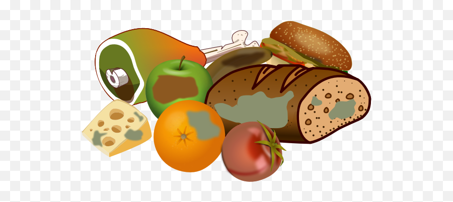 Wasting Food - Transparent Food Waste Png Emoji,Chicken Dinner Emoji