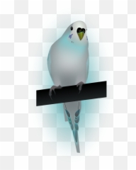 Bird Dove Dove Of Peace Peace - Portable Network Graphics Emoji,Dove Of Peace Emoji