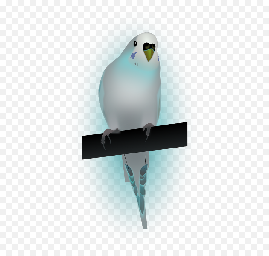 Bird Dove Dove Of Peace Peace - Portable Network Graphics Emoji,Dove Of Peace Emoji