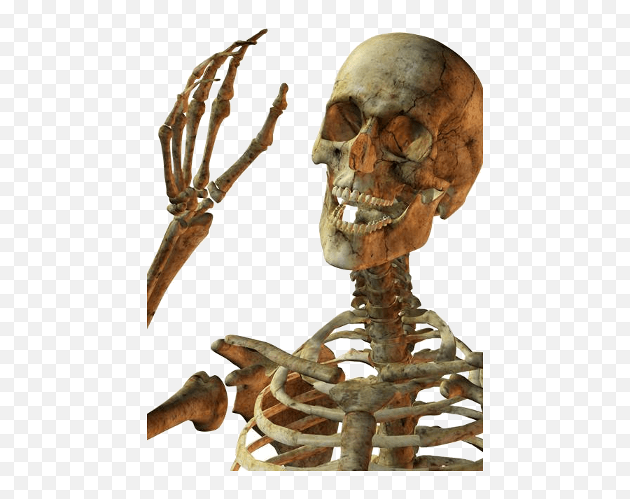 Hello Skeleton Transparent Png - Stickpng Skeleton Png Emoji,Skeleton Emoji