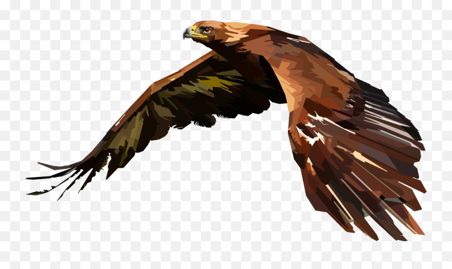 Pop Art Line Art Drawing Digital Art - Hawk Clipart Png Draw Digital Golden Eagle Emoji,Flip Bird Emoji