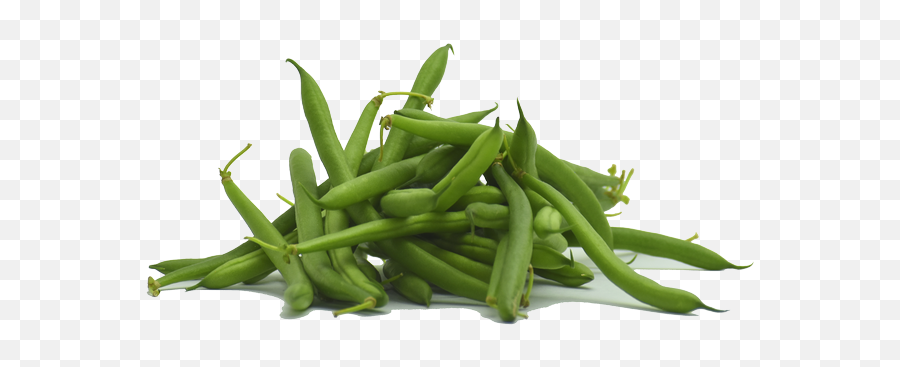 Green Beans - Green Beans Png Emoji,Green Bean Emoji