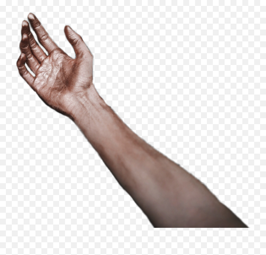 Hand Hands Arm Sticker By Hannabonecrusheredits - Sign Language Emoji,Arm Vs Arm Emoji