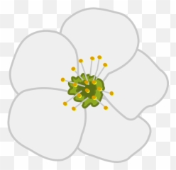 Cherry Flower Vector Image - Apple Blossom In Clipart Emoji