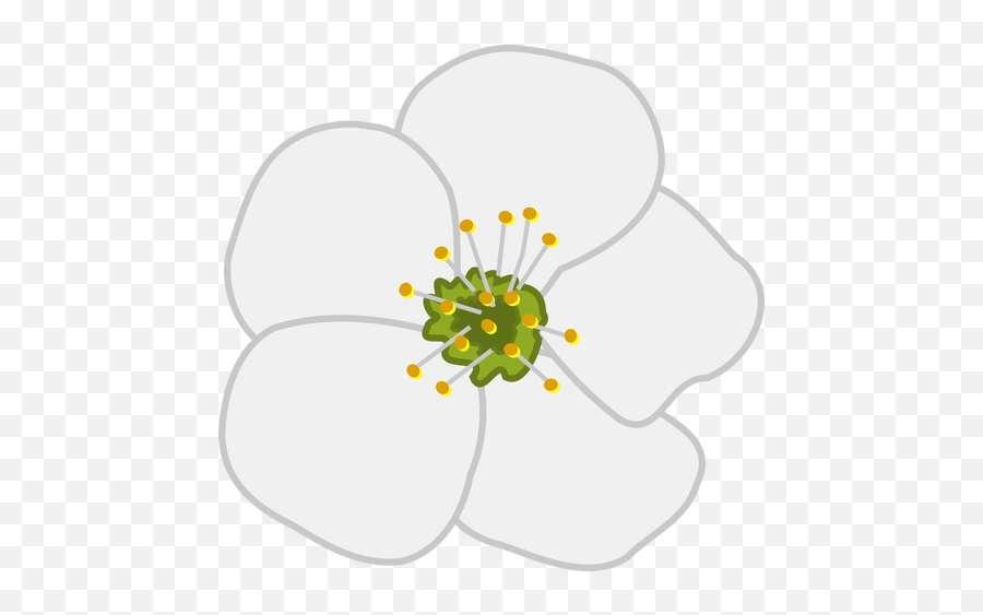 Cherry Flower Vector Image - Apple Blossom In Clipart Emoji,Sakura Blossom Emoji