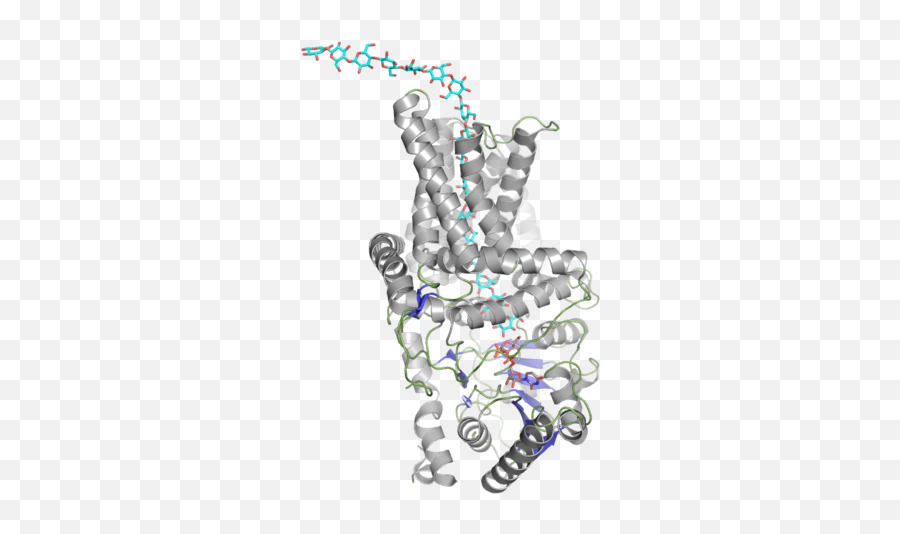 Bacterial Cellulose Synthase - Illustration Emoji,Lacrosse Stick Emoticon