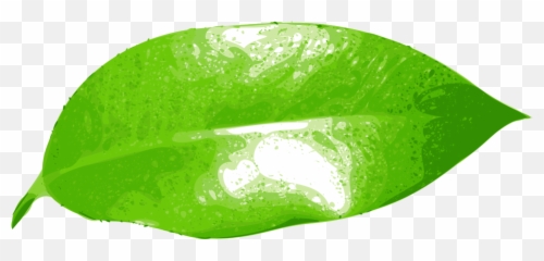 Leaf - Clip Art Ficus Emoji