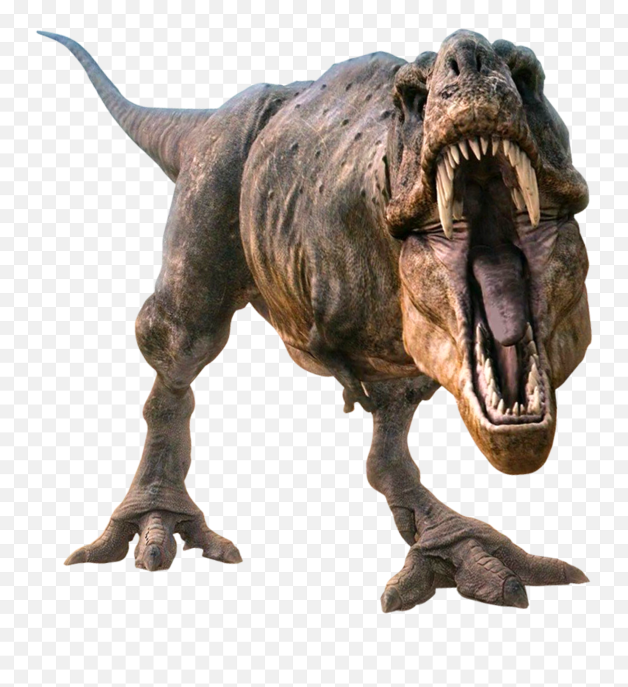Ftestickers Dinosaur Trex Tyrannosaurus - Transparent Background Dinosaur Png Emoji,Trex Emoji