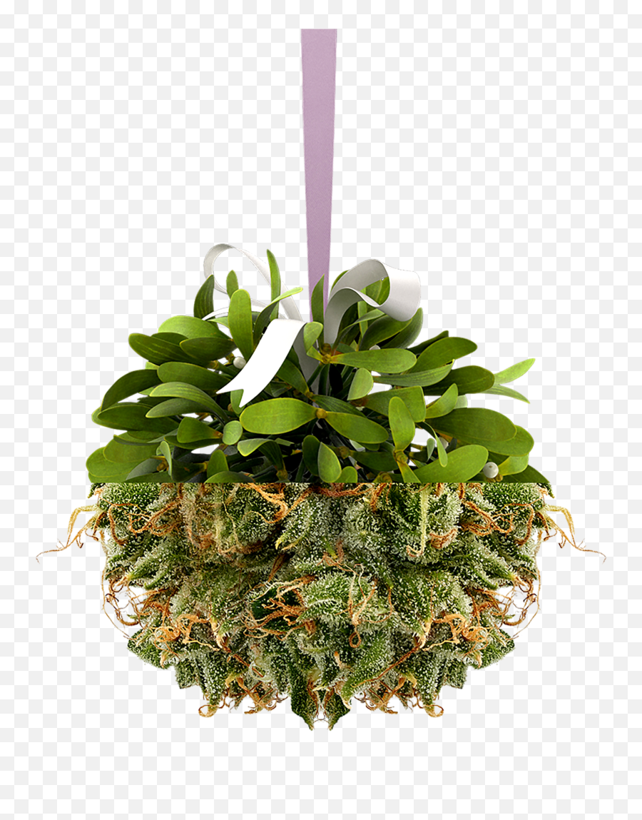 Hi Weu0027re Tweed Canadian Cannabis Products - Vertical Emoji,Marijuana Emoji