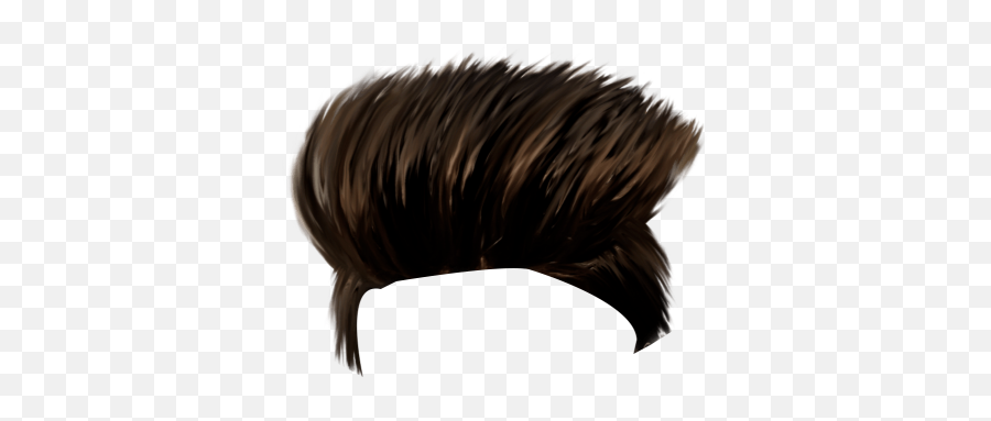 Change Hair Style Hair Pngs For Men - Boys New Hair Png Emoji,Porcupine Emoji