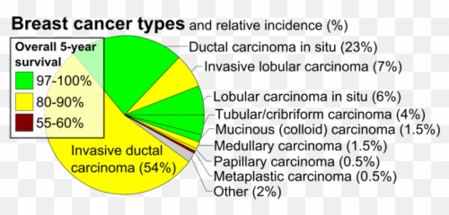 Pie Chart Of Incidence And Prognosis Histopathologic - Pathological Classification Breast Cancer Emoji