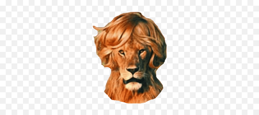 Top Sea Lion Stickers For Android Ios - Lion Hair Emoji,Sea Lion Emoji