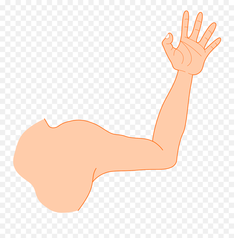 Hand Arm Man Strong Muscle Free Vector - Armpit Clipart Emoji,Strong Arm Emoticon