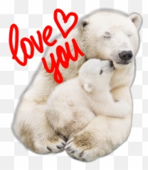 Polar Bearhug - Sticker By Lizho69 Polar Bear Emoji,Bear Hug Emoji