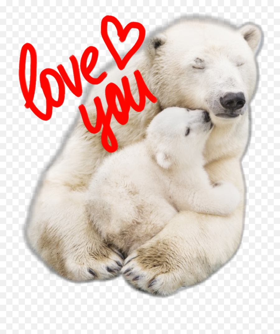 Polar Bearhug - Sticker By Lizho69 Polar Bear Emoji,Bear Hug Emoji