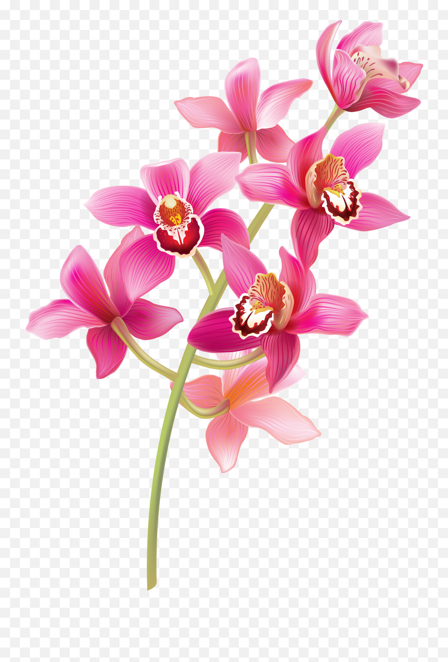 Orchid Clipart - Pink Orchids Png Emoji,Orchid Emoji