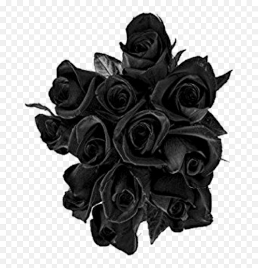 Black Rose Roses Buquet - Transparent Black Rose Emoji,Black Rose Emoji