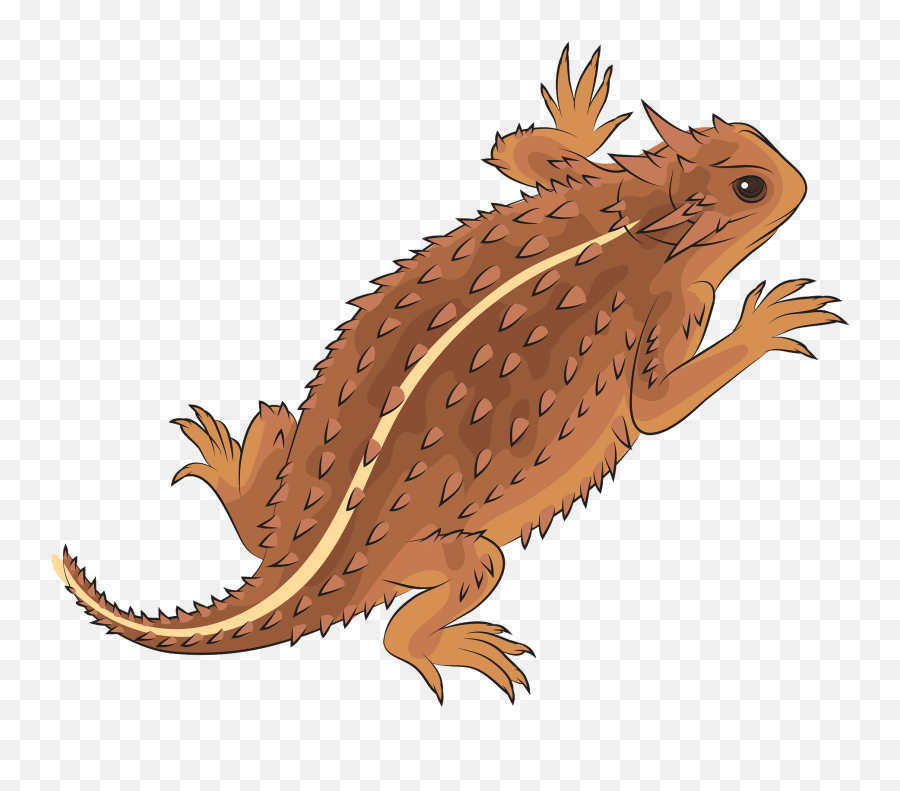 Texas Horned Lizard Clipart - Lagarto Cornudo De Texas Dibujo Emoji,Lizard Emoji