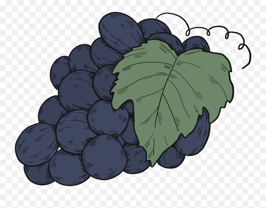 Black Grapes With Leaves Clipart - Diamond Emoji,Grapes Emoji