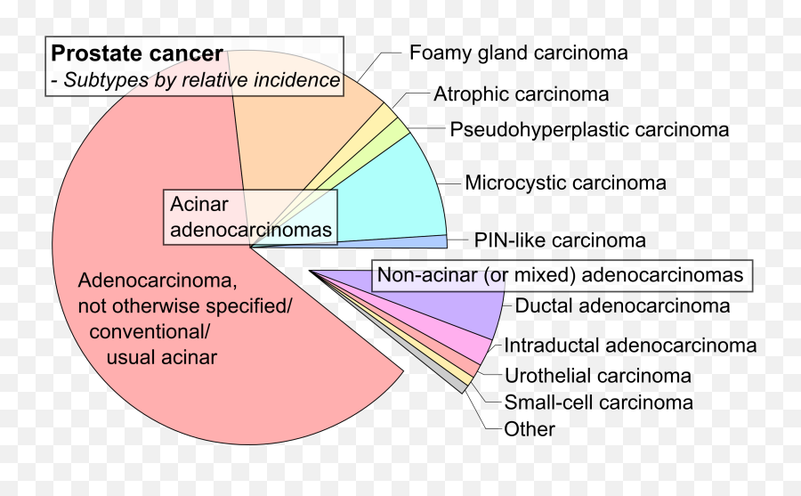 Prostate Cancer Types - Prostate Cancer Types Emoji,Emojis Are Cancer