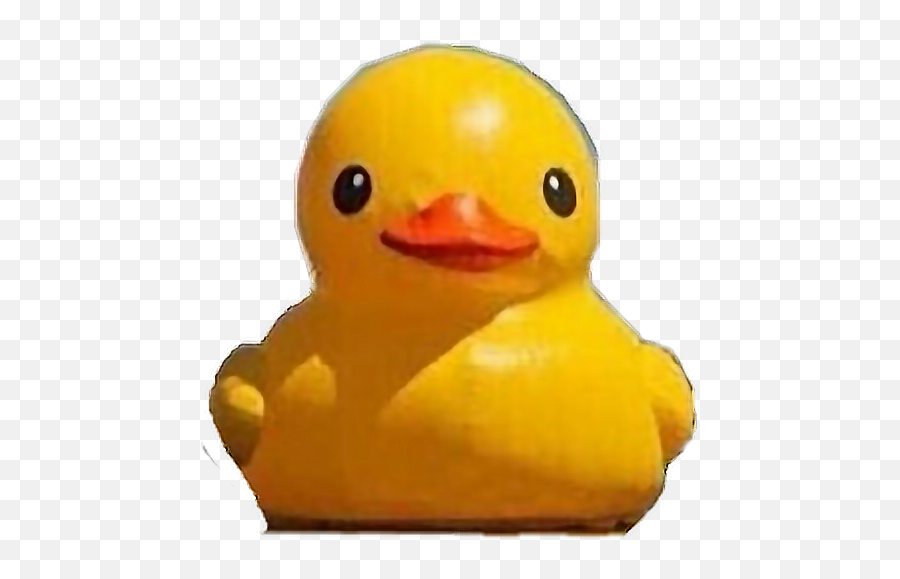 Rubber Ducky Because Why Not Duck - Rubber Ducky Emoji,Rubber Ducky Emoji