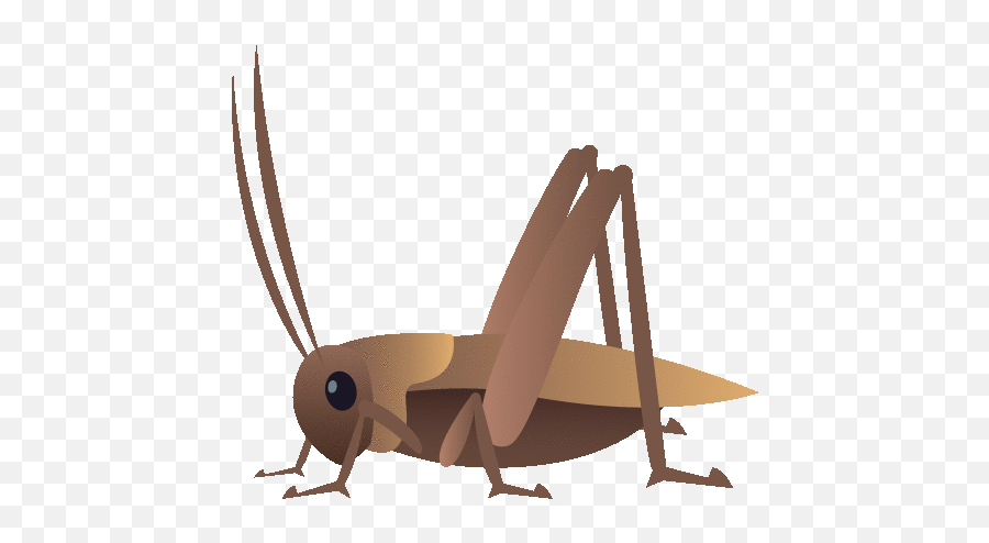 Cricket Nature Gif - Cricket Insect Gif Emoji,Crickets Chirping Emoji