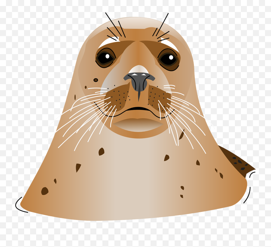 Ocean Sea Animal Free Vector Graphics - Sea Head Cartoon Emoji,California State Flag Emoji