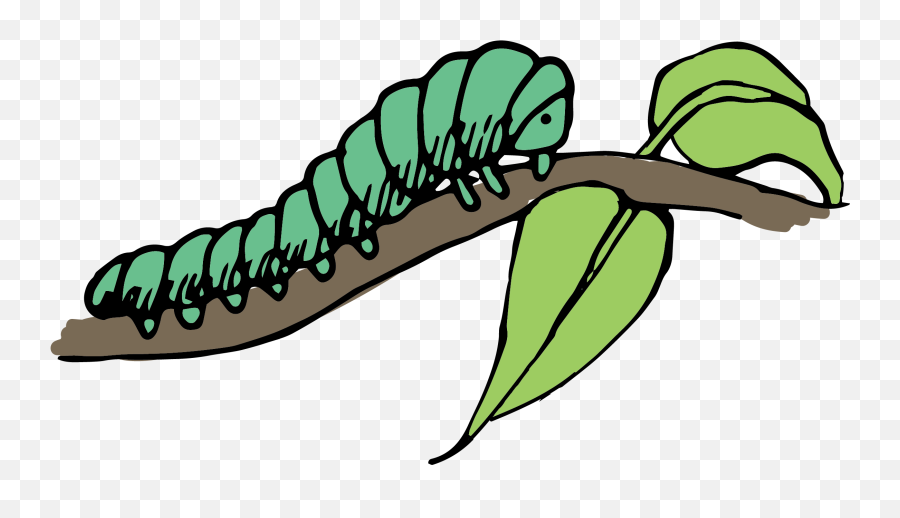 Caterpillar Clip Art - Lying On The Branches Caterpillars Caterpillars Clipart Emoji,Lying Emoji