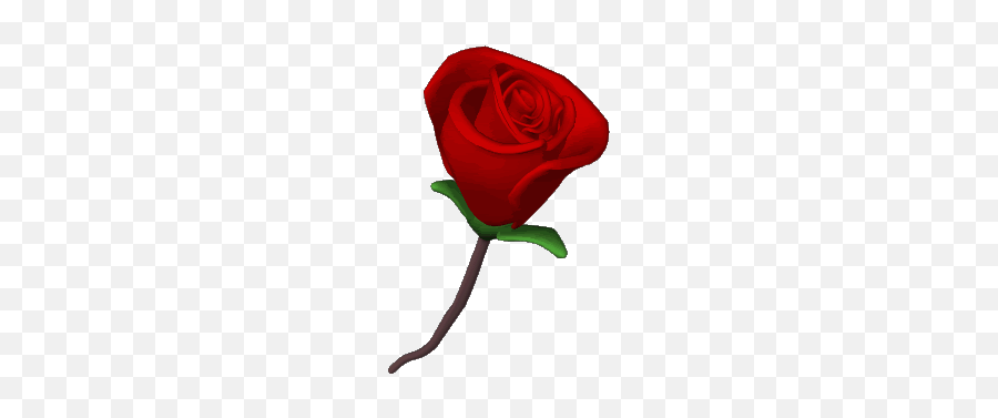 Say I Love You - Rose Happy Valentines Day Gif Emoji,Rose Emoticons