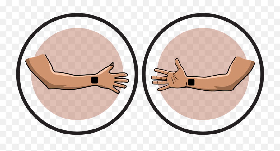 Elbow Clipart Biceps Elbow Biceps Transparent Free For - Circle Emoji,Biceps Emoji