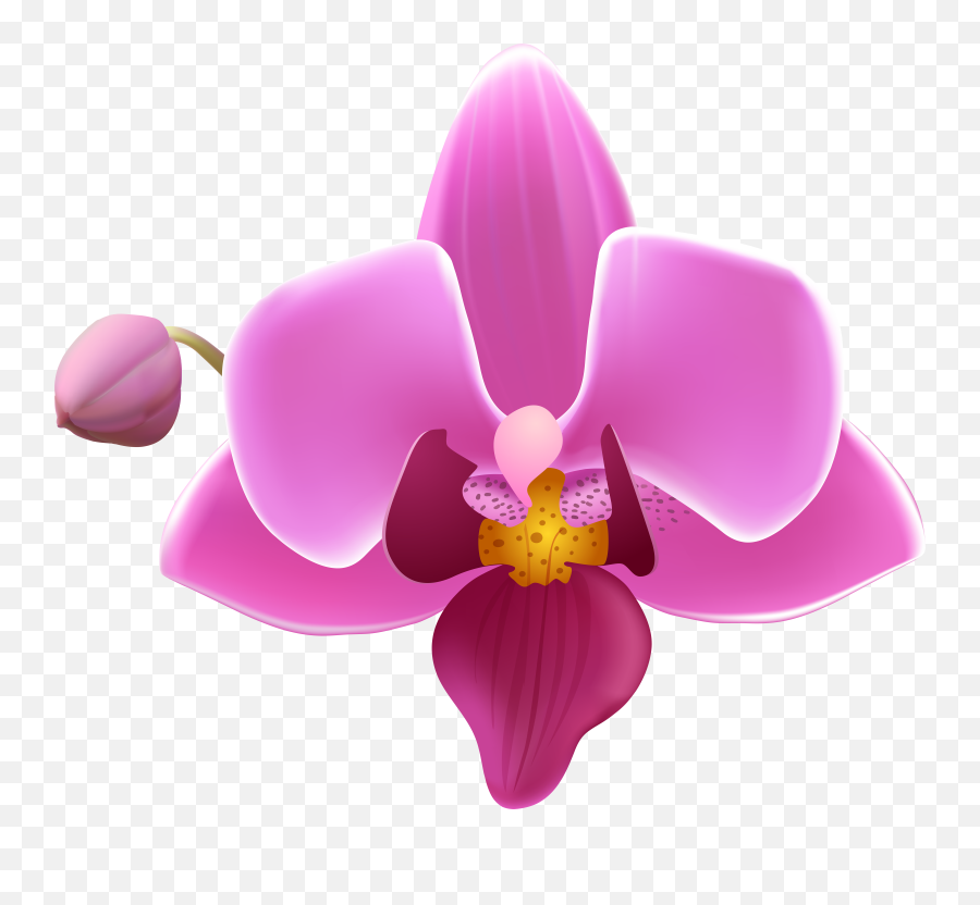 Flower Clipart Orchid Emoji,Orchid Emoji