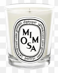 Mimosa Candle Candles Sticker - Diptyque Emoji,Mimosa Emoji