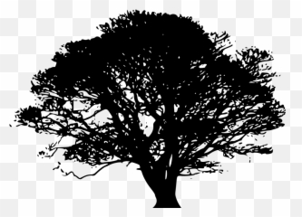 Olive Tree Branch Png Svg Clip Art For - Vector Silhouette Tree Png Emoji,Olive Branch Emoji