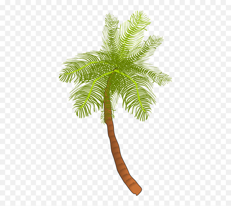 Palm Tree Ocean - Coconut Tree Clip Art Emoji,Palm Tree Book Emoji