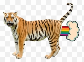Nyan Cat Updrade - Flying Tiger Uncle Grandpa Emoji