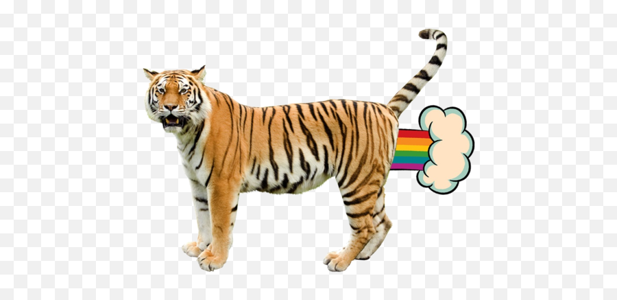 Nyan Cat Updrade - Flying Tiger Uncle Grandpa Emoji,Nyan Cat Emoticon Google Chat