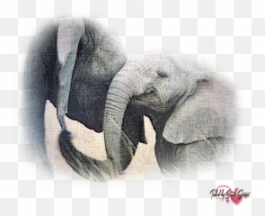 African Elephant Asian Elephant - Elephant Tattoo Emoji,Elephant Emojis