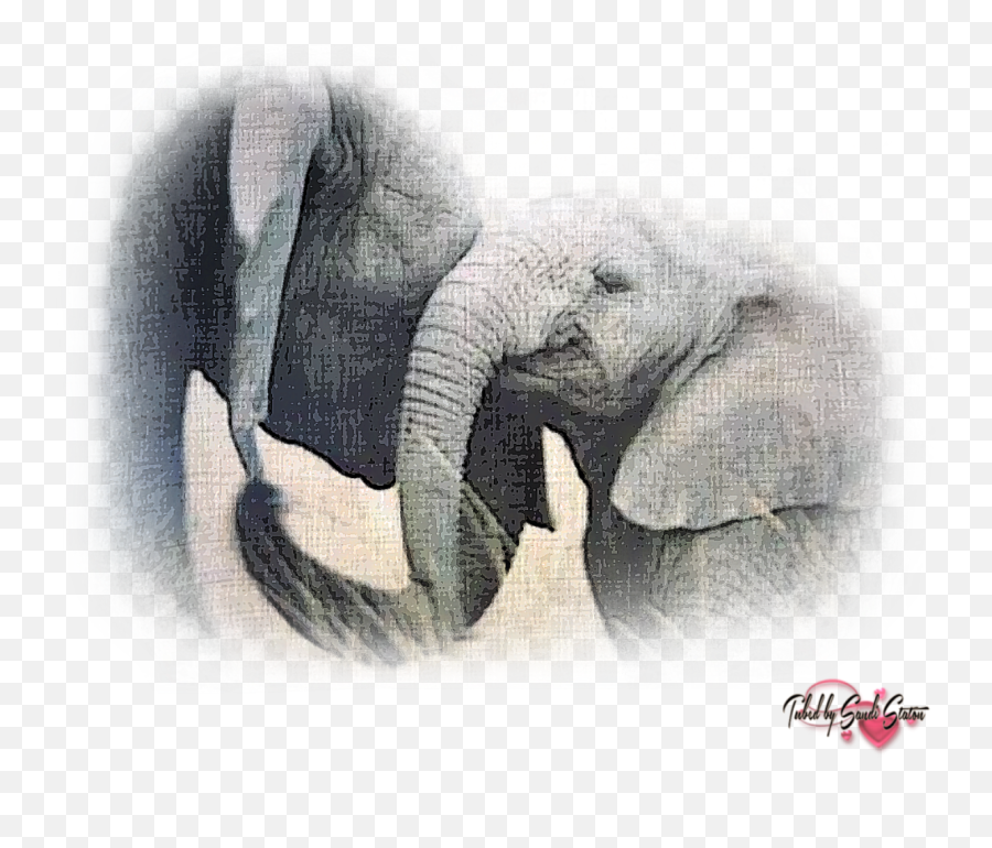 African Elephant Asian Elephant - Elephant Tattoo Emoji,Elephant Emojis