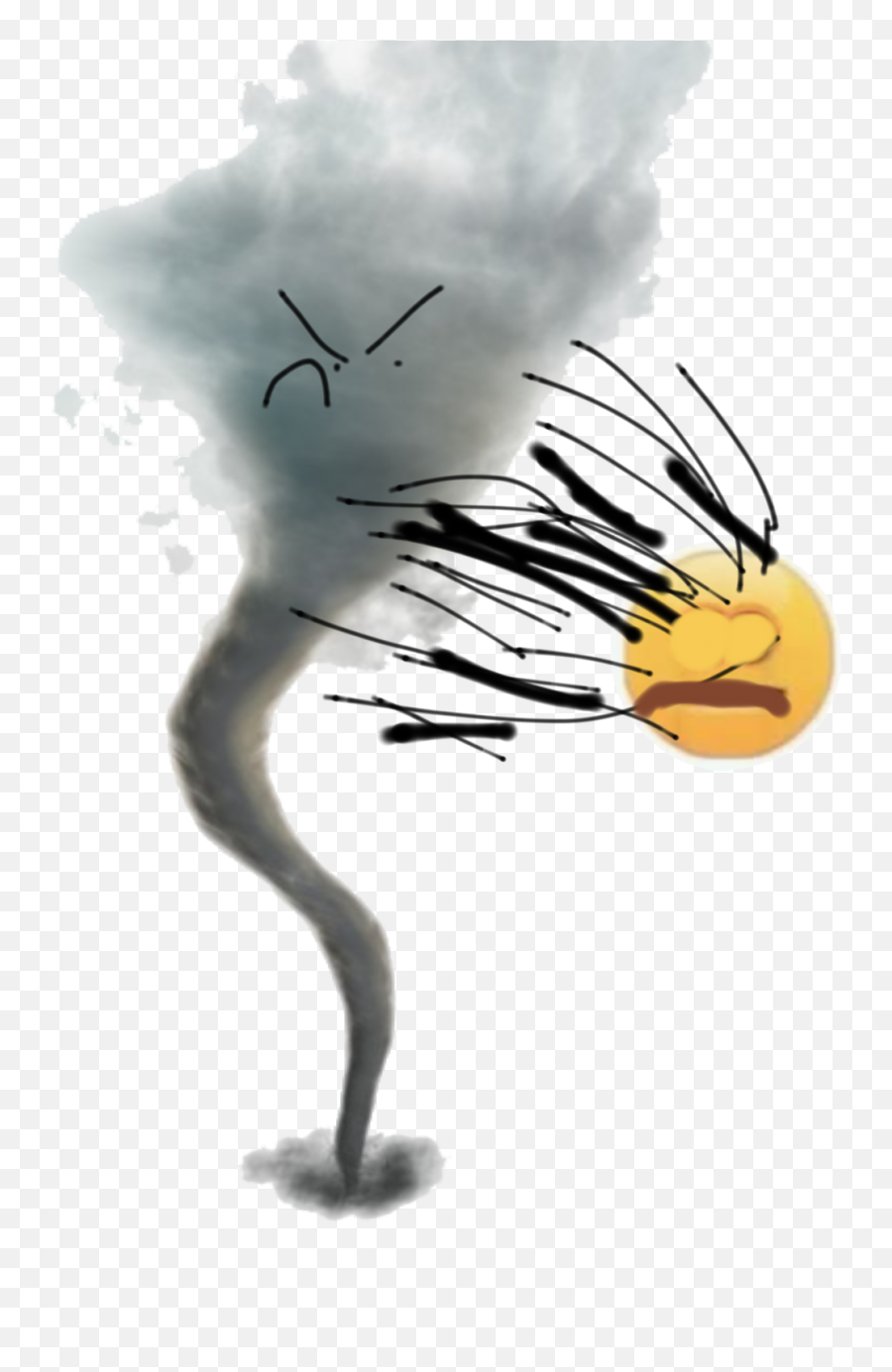 Beating Up The Sticker By Storm The Torndo - Tornado Air Element Png Emoji,Storm Emoji