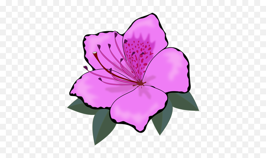 Pink Flower Clip Art Graphics - Flower Clipart Orange Emoji,Sakura Blossom Emoji