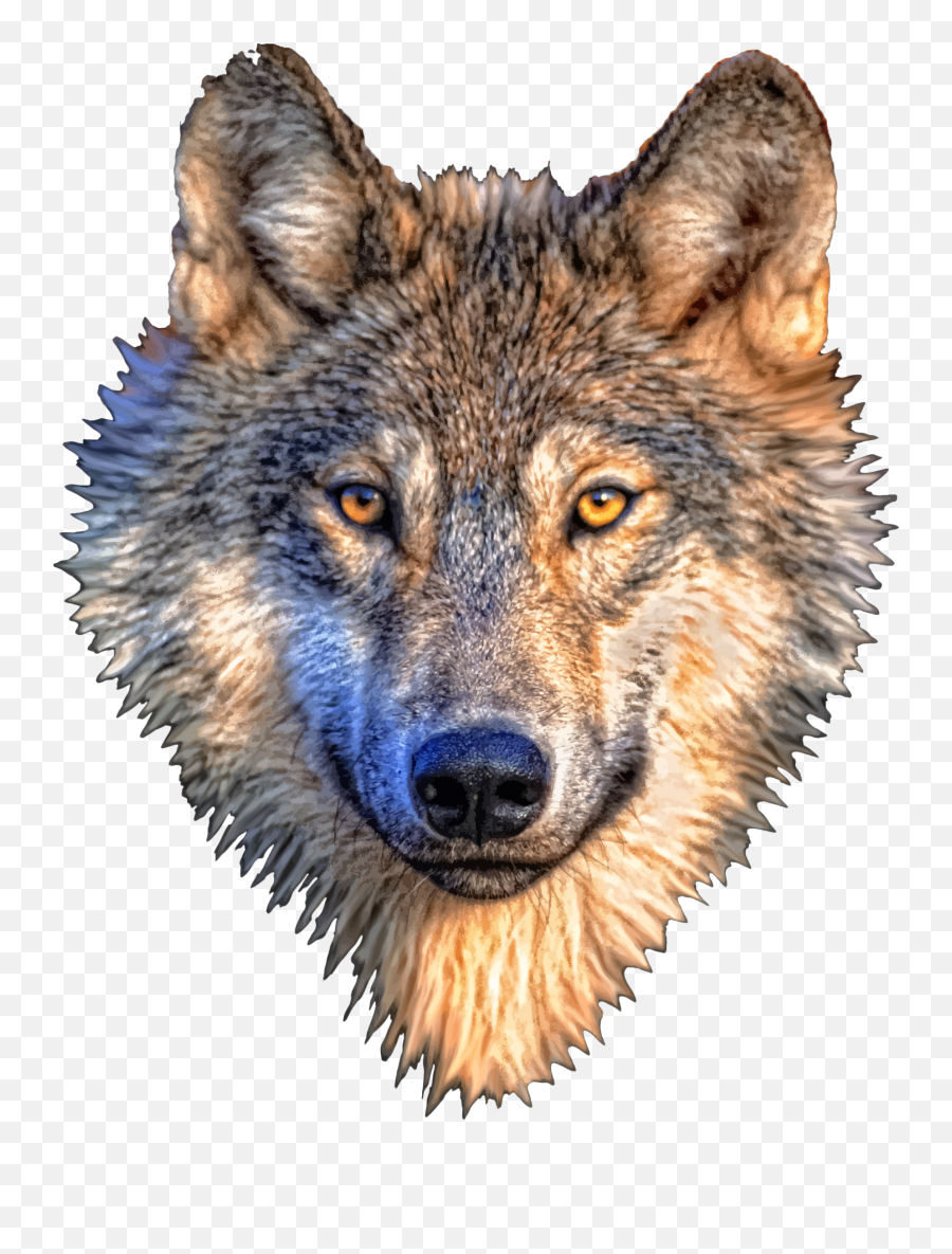 Gray Wolf T - Wolf Head Transparent Background Emoji,Emoji Wolf