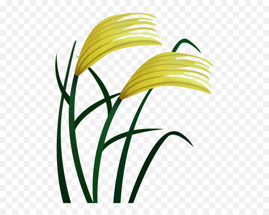 Rice Clipart Rice Leaf Rice Rice Leaf - Plants Emoji Png,Leaf Emojis